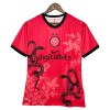 Camiseta Inter Milan 2025-26 Especial