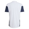 Argentina Mundial 2026 Camiseta De Entrenamiento Blanca