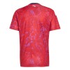 Camiseta Costa Rica Primera Mundial 2026