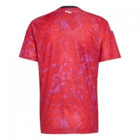 Camiseta Costa Rica Primera Mundial 2026