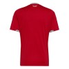 Camiseta Gales Primera Mundial 2026