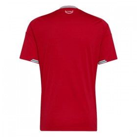 Camiseta Gales Primera Mundial 2026