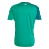 Camiseta Irlanda Del Norte Primera Mundial 2026