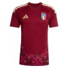 Camiseta Italia Portero Primera Mundial 2026 Roja