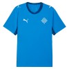 Camiseta Islandia Primera Mundial 2026