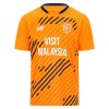 Camiseta Cardiff City Tercera 2025-26