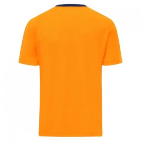 Camiseta Cardiff City Tercera 2025-26