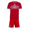 Camiseta Niño Gales Primera Mundial 2026