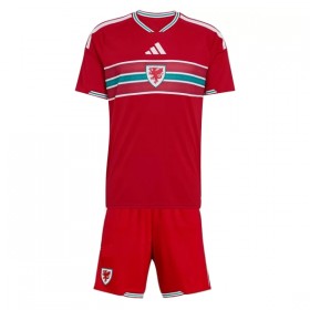 Camiseta Niño Gales Primera Mundial 2026