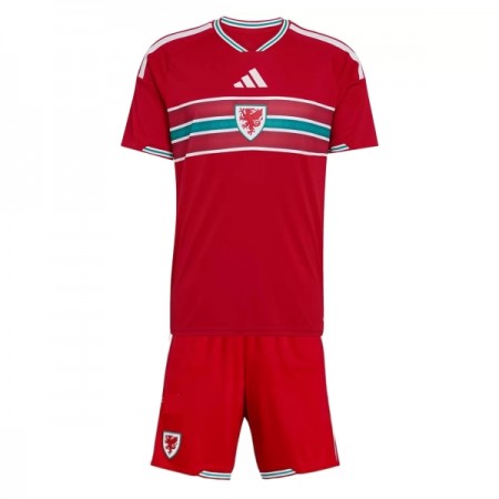 Camiseta Niño Gales Primera Mundial 2026