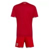 Camiseta Niño Gales Primera Mundial 2026