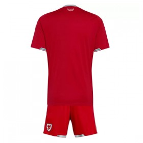 Camiseta Niño Gales Primera Mundial 2026
