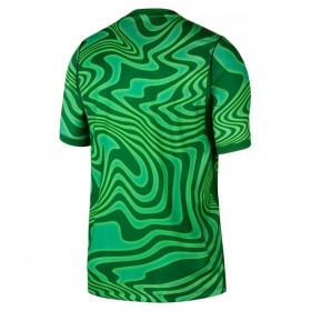 Camiseta Brasil Portero Primera Mundial 2026 Verde
