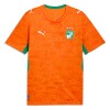 Camiseta Costa De Marfil Primera Mundial 2026 Camiseta Costa De Marfil Primera Mundial 2026