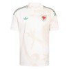 Camiseta Gales Segunda Mundial 2026