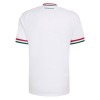 Camiseta Hungría Segunda Mundial 2026