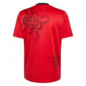 Camiseta Manchester United Cultural Story 2025-26 Especial