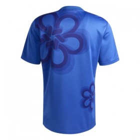 Camiseta Real Madrid Cultural Story 2025-26 Especial