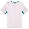 Camiseta Senegal Primera Mundial 2026