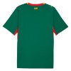 Camiseta Senegal Segunda Mundial 2026