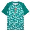 Camiseta Portugal Pre-Match Mundial 2026 Verde