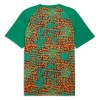 Camiseta Costa De Marfil Pre-Match Mundial 2026