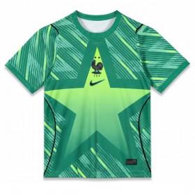 Camiseta Francia Portero Tercera Mundial 2026