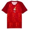 Camiseta Ghana Pre-Match Mundial 2026