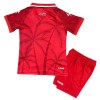 Camiseta Niño Haiti Tercera Mundial 2026