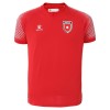 Camiseta Jordan Segunda Mundial 2026
