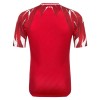 Camiseta Túnez Segunda Mundial 2026