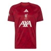 Camiseta Liverpool Pre-Match 2026-27
