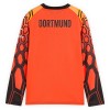 Camiseta Borussia Dortmund Portero Primera 2026-27 Naranja L/S