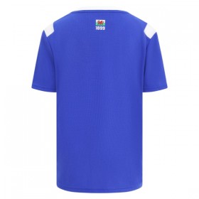 Camiseta Cardiff City Primera 2026-27