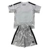 Camiseta Niño Real Madrid Portero 2026-27 Gris