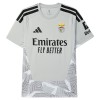 Camiseta Benfica Portero 2026-27 Gris